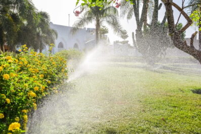 Why Some Properties Stay Green With Half the Water Others Use